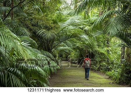 Young woman walking in Terra Nostra Botanical Park; Furnas, Sao Miguel, Azores, Portugal View Large Photo Image Stock Photograph - Young woman walking in Terra Nostra Botanical Park; Furnas, Sao Miguel, Azores, Portugal. Fotosearch