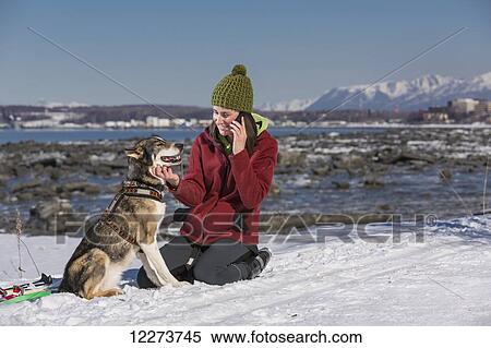 Stock Photography - Young woman with her Alaska Husky talks on a cell phone along the Tony Knowles Coastal Trail, Anchorage, Southcentral Alaska. Fotosearch