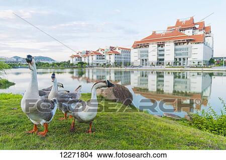 Zhangzhou campus, Xiamen University; Xiamen, Fujian Province, China View Large Photo Image Picture - Zhangzhou campus, Xiamen University; Xiamen, Fujian Province, China. Fotosearch
