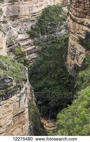 Stock Image - A deep canyon in Toro Toro National Park; Bolivia. Fotosearch