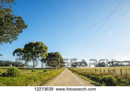Stock Photo - A dirt road in the countryside; Laguna de Rocha, Uruguay. Fotosearch