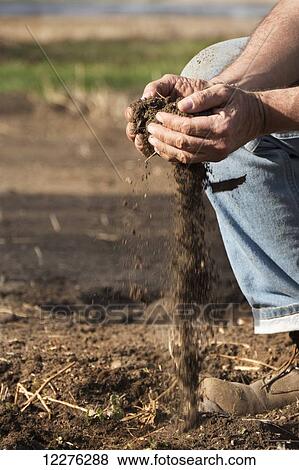 A farmer kneels in a field to check soil condition by letting the dirt flow through his cupped hands; Chelsea, Michigan, United States of America View Large Photo Image Stock Photo - A farmer kneels in a field to check soil condition by letting the dirt flow through his cupped hands; Chelsea, Michigan, United States of America. Fotosearch