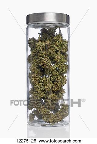 Stock Photograph - A jar of marijuana; Boston, Massachusetts, United States of America. Fotosearch