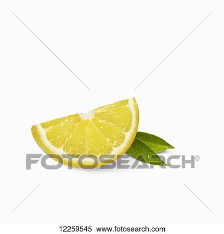 Stock Photography - A lemon slice with small leaves on a white background. Fotosearch