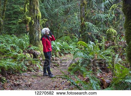 Stock Image - A mature woman on a cell phone hiking in the rainforest in the Cowichan Valley; British Columbia, Canada. Fotosearch