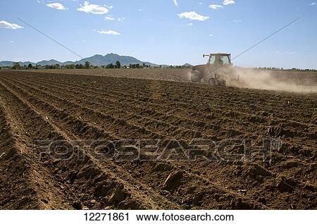 A tractor and field implement builds furrows and prepares the field for planting, near Queen Creek; Arizona, United States of America View Large Photo Image Stock Image - A tractor and field implement builds furrows and prepares the field for planting, near Queen Creek; Arizona, United States of America. Fotosearch