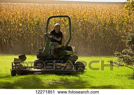 A young farm girl mows the lawn on the family farm farm in early autumn with a mature grain corn field in the background, near Sioux City; Iowa, United States of America View Large Photo Image Stock Image - A young farm girl mows the lawn on the family farm farm in early autumn with a mature grain corn field in the background, near Sioux City; Iowa, United States of America. Fotosearch