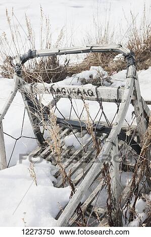 Stock Image - Abandoned wooden sled covered in snow and grass, on the banks of the Noatak River in winter; Noatak, Alaska, United States of America. Fotosearch