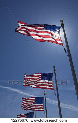 American flags near the Washington Monument; Washington, District of Columbia, United States of America View Large Photo Image Stock Image - American flags near the Washington Monument; Washington, District of Columbia, United States of America. Fotosearch
