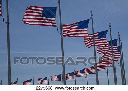 Stock Photo - American flags near the Washington Monument; Washington, District of Columbia, United States of America. Fotosearch