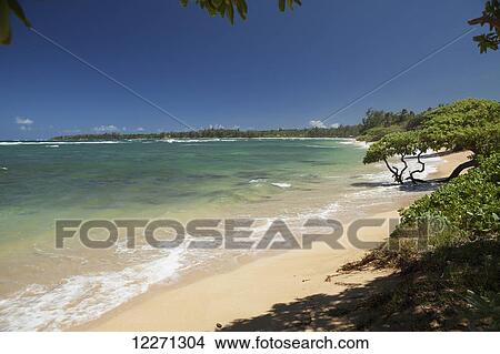 Picture - Anahola Beach; Anahola, Kauai, Hawaii, United States of America. Fotosearch