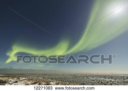 Stock Image - Aurora Borealis over Hudson Bay; Manitoba, Canada. Fotosearch