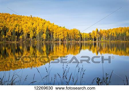 Autumn coloured hill reflecting on Nancy Lake, Nancy Lake State Recreation Area; Alaska, United States of America View Large Photo Image Stock Image - Autumn coloured hill reflecting on Nancy Lake, Nancy Lake State Recreation Area; Alaska, United States of America. Fotosearch