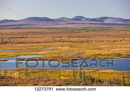 Stock Image - Autumn coloured tundra and lake, the Igichuk Hills and surrounding tundra; Noatak, Alaska, United States of America. Fotosearch