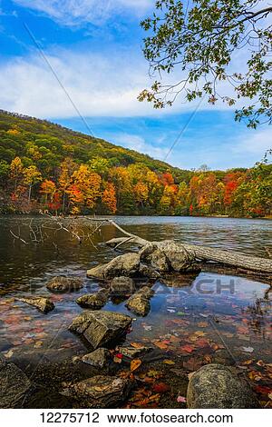 Autumn foliage at Hessian Lake, Bear Mountain State Park; Bear Mountain, New York, United States of America View Large Photo Image Stock Image - Autumn foliage at Hessian Lake, Bear Mountain State Park; Bear Mountain, New York, United States of America. Fotosearch