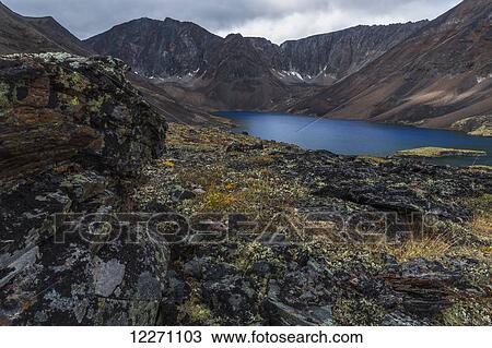 Azure lake, Tombstone Territorial Park; Yukon, Canada View Large Photo Image Stock Image - Azure lake, Tombstone Territorial Park; Yukon, Canada. Fotosearch