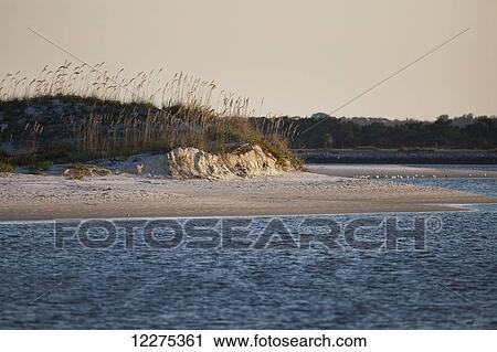 Beach with sand dunes and plants growing on them, viewed from the water at sunset; United States of America View Large Photo Image Stock Image - Beach with sand dunes and plants growing on them, viewed from the water at sunset; United States of America. Fotosearch