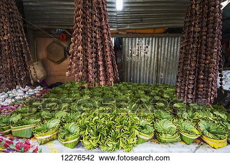 Betel nuts for sale at the market; Dili, East Timor View Large Photo Image Stock Image - Betel nuts for sale at the market; Dili, East Timor. Fotosearch