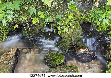 Big Springs at Bixby State Preserve, near Edgewood; Iowa, United States of America View Large Photo Image Stock Image - Big Springs at Bixby State Preserve, near Edgewood; Iowa, United States of America. Fotosearch