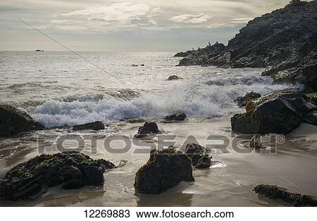 Stock Image - Birds on the rocky coast looking out at the ocean and a ship in the distance, Mexican Riviera; Ixtapa-Zihuatanejo, Guerrero, Mexico. Fotosearch