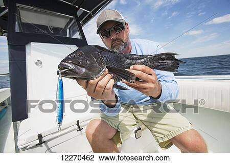 Black sea bass caught off the coast of Martha's Vineyard; Massachusetts, United States of America View Large Photo Image Stock Image - Black sea bass caught off the coast of Martha's Vineyard; Massachusetts, United States of America. Fotosearch