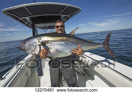 Stock Image - Blue fin tuna caught off the Atlantic coast; Massachusetts, United States of America. Fotosearch