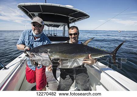 Blue fin tuna caught off the Atlantic coast; Massachusetts, United States of America View Large Photo Image Stock Image - Blue fin tuna caught off the Atlantic coast; Massachusetts, United States of America. Fotosearch