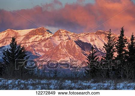 Stock Photo - Brilliant colourful morning sunlight glow on a snow covered mountain range and clouds framed between evergreen trees in a snow covered field with blue sky; Alberta, Canada. Fotosearch