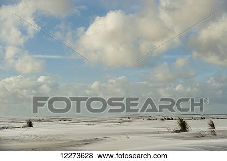 Casino Beach, the longest beach in the world; Rio Grande do Sul, Brazil View Large Photo Image Stock Photo - Casino Beach, the longest beach in the world; Rio Grande do Sul, Brazil. Fotosearch