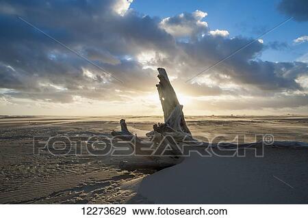 Stock Photo - Casino Beach, the longest beach in the world; Rio Grande do Sul, Brazil. Fotosearch