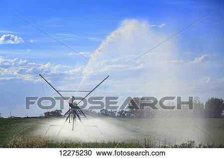 Stock Image - Center pivot irrigation spraying water, near Lethbridge; Alberta, Canada. Fotosearch