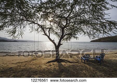 Chairs and tree in Areia Branca beach; Dili, East Timor View Large Photo Image Stock Image - Chairs and tree in Areia Branca beach; Dili, East Timor. Fotosearch