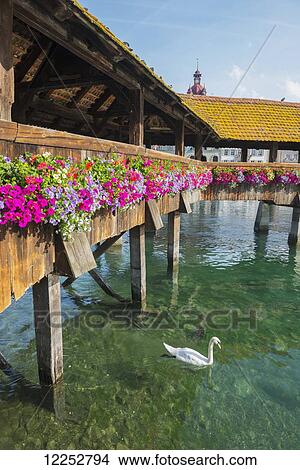 Picture - Chapel Bridge crossing Lake Lucerne; Lucerne, Switzerland. Fotosearch
