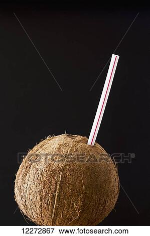 Close up of a coconut with a red striped straw on a black background; Calgary, Alberta, Canada View Large Photo Image Stock Photo - Close up of a coconut with a red striped straw on a black background; Calgary, Alberta, Canada. Fotosearch