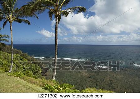 Stock Image - Coastline view of reef from Sea Lodge Condos at Princeville, near Hanalei; Kauai, Hawaii, United States of America. Fotosearch