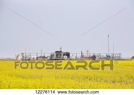 Picture - Compressor station in canola field to transport crude oil in rural Alberta; Alberta, Canada. Fotosearch