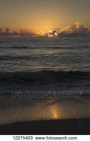 Stock Image - Dawn sunlight over the ocean with waves coming on shore and the sunlight reflected in the sand; United States of America. Fotosearch