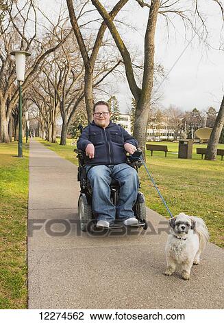 Disabled man using his powered wheelchair and walking his dog in a park in autumn; Edmonton, Alberta, Canada View Large Photo Image Stock Image - Disabled man using his powered wheelchair and walking his dog in a park in autumn; Edmonton, Alberta, Canada. Fotosearch