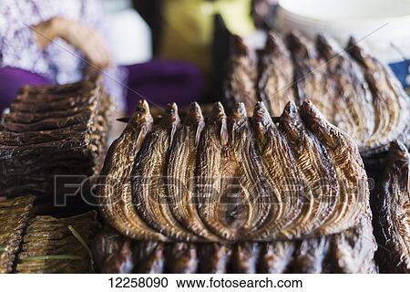 Stock Image - Dried fish in Battambang market; Battambang, Cambodia. Fotosearch
