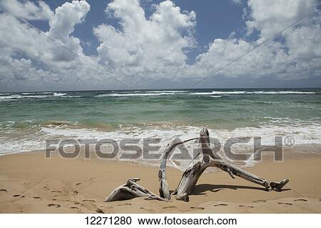 Stock Image - Driftwood, footprints in the sand and surf at Lydgate State Beach Park; Wailua, Kauai, Hawaii, United States of America. Fotosearch
