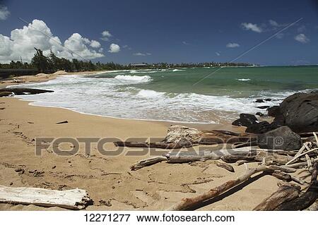 Driftwood, sand and surf at Wailua Beach; Wailua, Kauai, Hawaii, United States of America View Large Photo Image Stock Photo - Driftwood, sand and surf at Wailua Beach; Wailua, Kauai, Hawaii, United States of America. Fotosearch