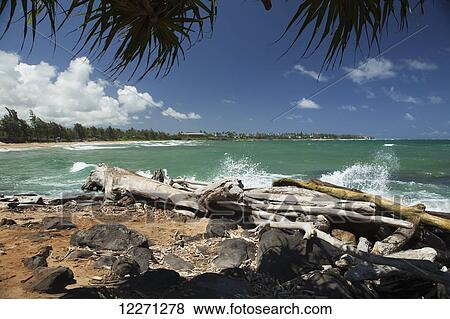 Stock Photo - Driftwood, sand and surf at Wailua Beach; Wailua, Kauai, Hawaii, United States of America. Fotosearch