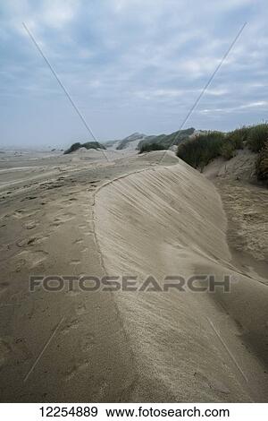 Eroded sand dunes; Oregon, United States of America View Large Photo Image Stock Photo - Eroded sand dunes; Oregon, United States of America. Fotosearch
