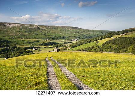 Farm track across a dales hay meadow in early summer; Swaledale, Yorkshire, England View Large Photo Image Stock Photo - Farm track across a dales hay meadow in early summer; Swaledale, Yorkshire, England. Fotosearch