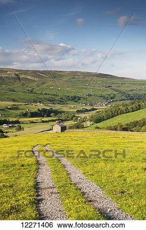 Farm track across a dales hay meadow in early summer; Swaledale, Yorkshire, England View Large Photo Image Stock Photograph - Farm track across a dales hay meadow in early summer; Swaledale, Yorkshire, England. Fotosearch