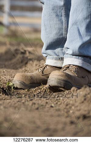 Farmer's boots standing in a freshly cultivated field of dark soil; Chelsea, Michigan, United States of America View Large Photo Image Stock Photo - Farmer's boots standing in a freshly cultivated field of dark soil; Chelsea, Michigan, United States of America. Fotosearch