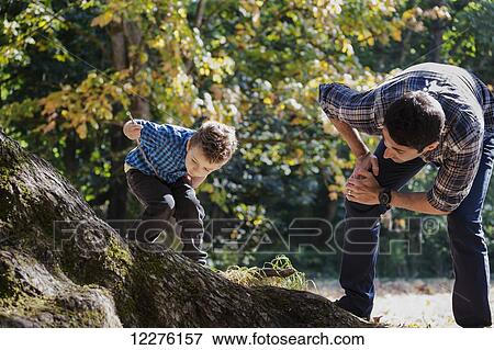 Father and son looking at an insect on large oak tree in rainforest; Langley, British Columbia, Canada View Large Photo Image Stock Photo - Father and son looking at an insect on large oak tree in rainforest; Langley, British Columbia, Canada. Fotosearch