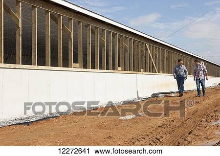 Stock Image - Father and son walk perimeter of new barn inspection construction progress; Manheim, Pennsylvania, United States of America. Fotosearch