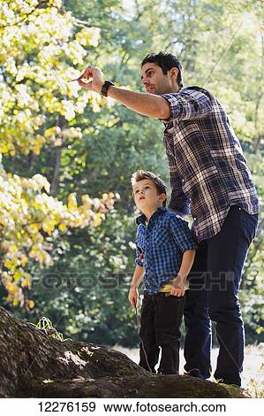 Stock Photo - Father teaching his son about how seeds come from oak trees in a rainforest; Langley, British Columbia, Canada. Fotosearch