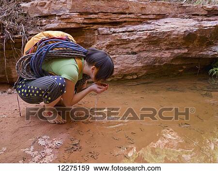 Stock Photo - Female adventurer drinking from a desert oasis; Hanksville, Utah, United States of America. Fotosearch